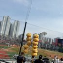 우정초등학교 | 재밌는게 가득한 세상🕺