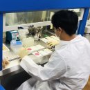 샤르베티에 이미지