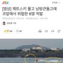 [영상] 제트스키 몰고 남방큰돌고래 코앞에서 위협한 6명 적발 이미지