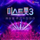 미스 이미지