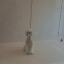 더(The)예쁘개 이미지