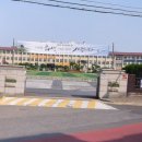 서대전초교병설 이미지