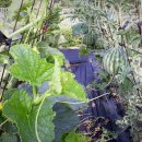 상부농장(2농장) 이미지