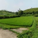 경기도 양평군 강상면 토지 남한강조망 반값에 매입가능 이미지
