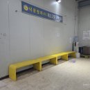 [남촌농산물도매시장 야채동] 목표는 얼갈이, 오이, 무 입니다. 저렴한거 말고 신선한 것으로