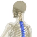 진심과정성 한의원 이미지