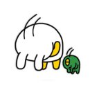 중앙안경 이미지