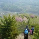 섭이농장 이미지