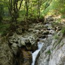 구룡자동차 야영장 이미지