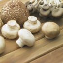 좋은세상제암의원 이미지