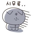 멋쟁이가발
