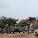 GS25 동두천로드점 | 진로그룹 장회장 10주기 추모식 참석