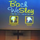 최루백로 이미지