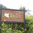 홍가네농장 이미지