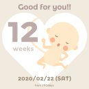 12주 요가 클래스 이미지