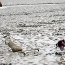 바다 FISH 이미지