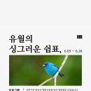 일상의 쉼표 힐링명상 이미지