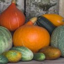 한마음한의원 이미지