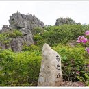 제암산등산로 이미지