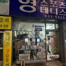 영스포츠 이미지