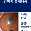 형제종합동물병원 이미지