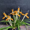 영광센터-14 이미지