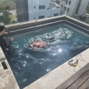 어스20 - 안산시 단원구 천신로1길 9 | 대부도 펜션 추천｜어스20 A동 301호 솔직 후기! 개별 미온수 수영장 때문에 또 가고 싶은 곳