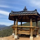 하동편백자연휴양림 이미지