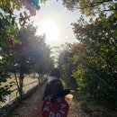 풍경목장 | 제주도 목장 길갈 팜 랜드 후기｜목장 풍경·산책·체류시간 정리