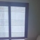 스테이너흐 이미지