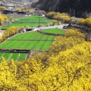트롯 디스코 장구 이미지