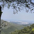 11월10일(월요일)강릉 대관령 제왕산 이미지