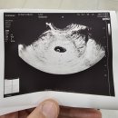 박경숙산부인과의원 이미지