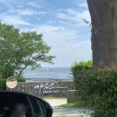 가원약국 | 부산 용호동 대형카페 야외테라스 예쁜 &#39;베이커리카페 가원&#39; 내돈내산 후기