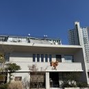부산 수영 리오네｜트러플 뇨끼 내돈내산 후기✨(블루리본)