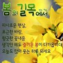 행운 이미지