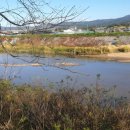 한다리길 이미지