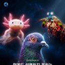 레전드 초능력을 가진 동물들 이미지