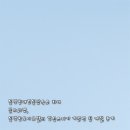 문화모텔 | 동명항애견동반숙소 최애 꼽으라면, 동명항모아모텔의 감성스파가 기준점 된 계절 후기