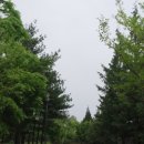 [eMTB]3월2일(월) 김포 문수산과 한남정맥(월곶,통진,하성면) 싱글 라이딩공지