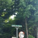 공원로-4 이미지