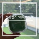지홈 | 지홈랩스 ‘캔디브러쉬’ 강아지죽은털제거