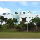 신일제약(주) - 16028 | 신일제약(주)