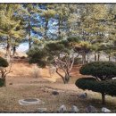 서벽중학교 이미지