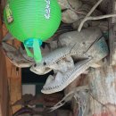 선원사 약사전 이미지