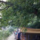 웅진오토캠핑장 이미지