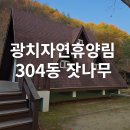 광치마을 | 광치자연휴양림 304동 잣나무 | 숙소 내부·바비큐·계곡·놀거리 완전정리
