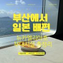 뉴일번지뽑기방 | 가성비 미친 부산에서 일본 배편! 뉴카멜리아호 부대시설 총정리 (+특가 예약 사이트 추천)