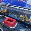 회뜰날 | (답십리)답십리 회뜰날 후기: 동네 횟집 이상의 만족, 모둠회부터 도다리 세꼬시까지