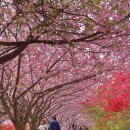완산-11 이미지